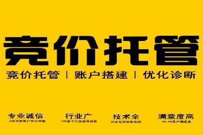 深度解析SEM优化公司的成功因素